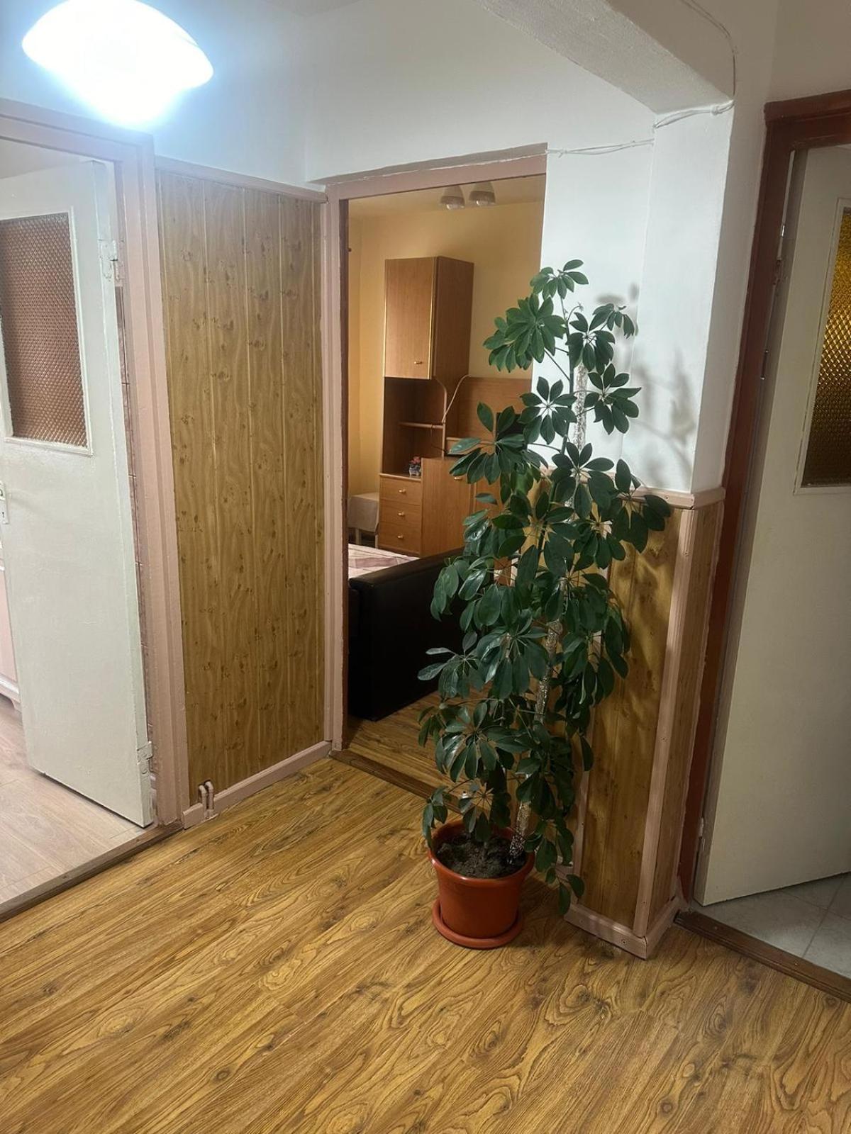 شقة Apartament La Ilie أوكنا سيبيولوي المظهر الخارجي الصورة